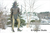 Meredith, NH - Indian Island - Winter - Close-up